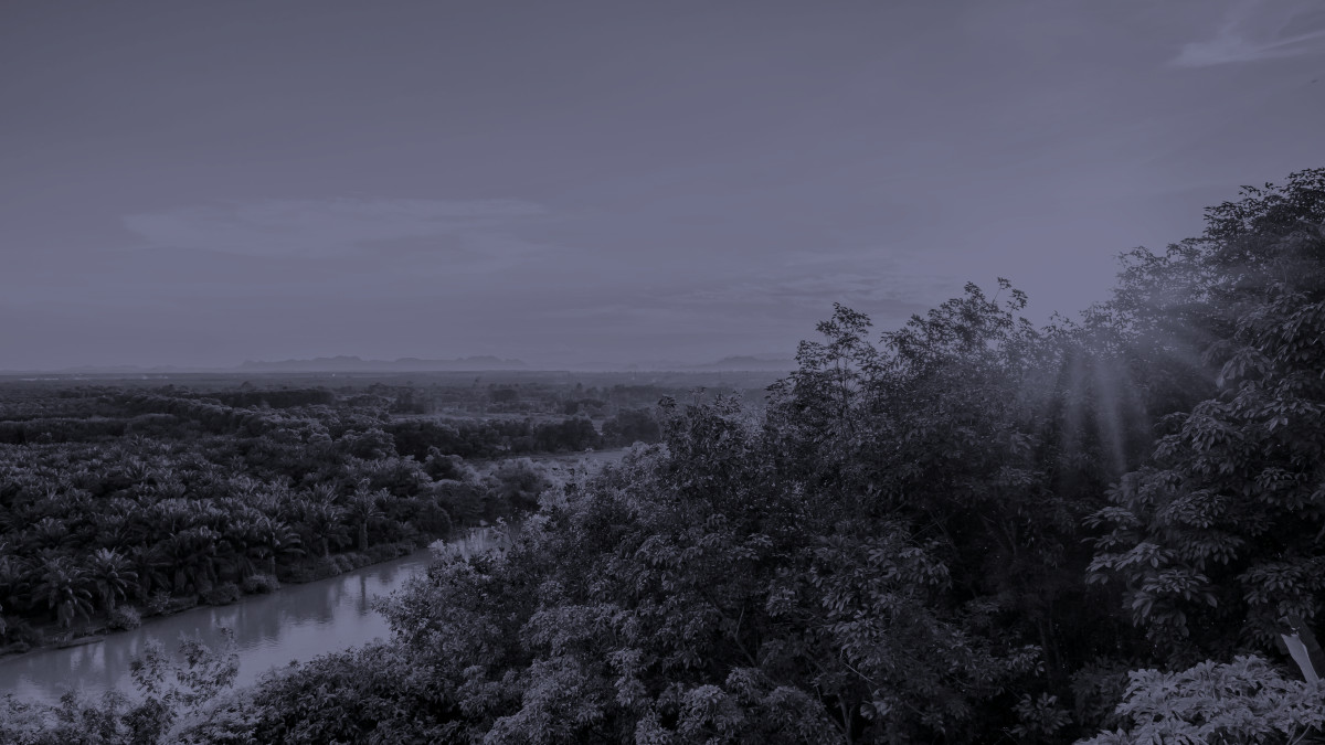 Drohnenaufnahme einer Landschaft mit Wäldern und einem Fluss