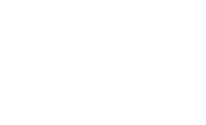 Siegel „Software Made in Germany“
